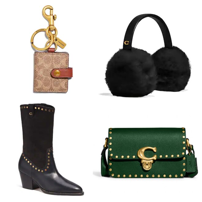ECOMM: Coach Black Friday Sale